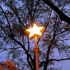 a street light with a star on it in front of some trees at night time