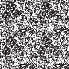 black and white lace with floral design on the edges stock photo - image 34978