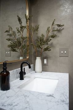 a white sink sitting under a bathroom mirror next to a vase with trees in it