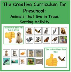 a poster with animals that live in trees and the words, the creative curriculum for preschool