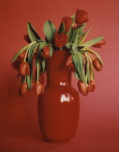 a red vase filled with lots of flowers on top of a pink table next to a wall