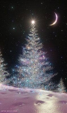 a christmas tree is lit up in the night sky