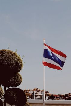 a flag is flying in the wind next to some topiary bushes and a building