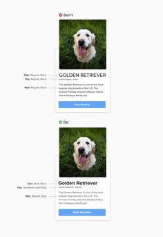 two pictures of a golden retriever on the same page