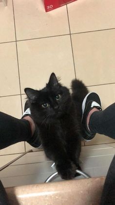 a black cat sitting on top of a bathroom sink next to someone's feet