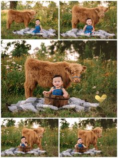 a baby sitting in a basket next to a brown bear and another photo taken by the same person