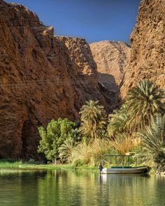 a boat floating on top of a river next to palm trees and mountains in the background