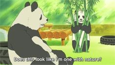 an animated panda bear sitting on the ground next to another panda