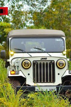 a jeep is parked in the middle of some tall grass and trees with its lights on