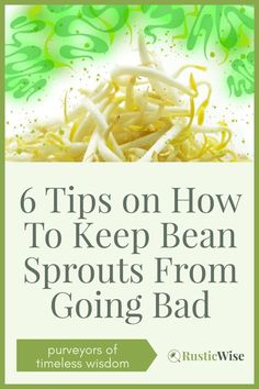 a pile of sprouts with the title 6 tips on how to keep bean sprouts from going bad