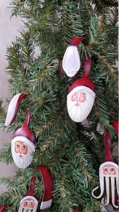 some ornaments are hanging from a tree with green needles and red santa hats on them