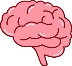 an image of a pink brain on a white background