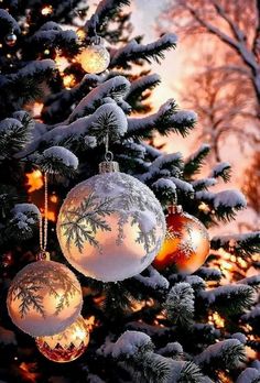 a christmas tree with ornaments hanging from it's branches and snow covered trees in the background