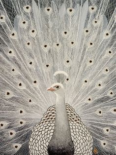 a painting of a white peacock with lots of feathers