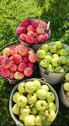 four buckets filled with different types of fruit on the ground in some green grass