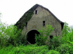 an old barn with vines growing on it