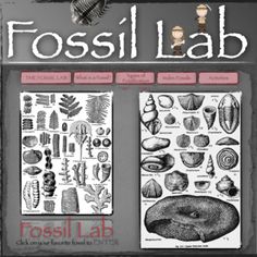 the fossil lab poster is displayed in black and white