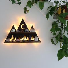 a shelf that has some lights on it with rocks and plants in front of it