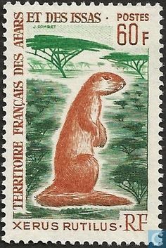 a postage stamp with an image of a groundhog