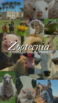 a collage of different animals with the words zooetonia written in spanish on them