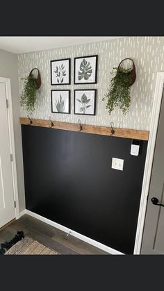 a black wall with three hanging plants on the top and two framed pictures above it