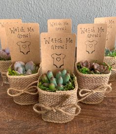 three small baskets filled with succulents on top of a wooden table next to tags that say watch me grow