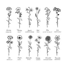 an image of flowers that are in the language of their name, and each flower has different