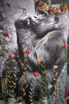 a gorilla with flowers on its head standing in front of a rock and looking up at the sky