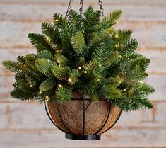 a potted plant hanging from a chain with lights on it's branches and leaves