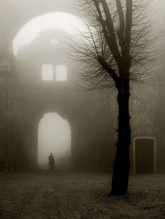 a person standing in the middle of a foggy forest with an archway between two trees