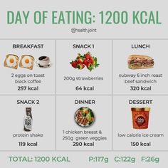 Low Calorie Ice Cream, 1500 Calorie Meal Plan, 1200 Calorie Diet Plan, Motivasi Diet, 500 Calorie, Day Of Eating, Easy Healthy Meal Prep, What A Day