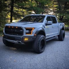 a silver truck parked in front of some trees