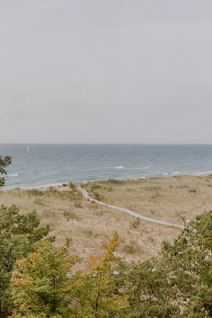 an ocean view from the top of a hill with trees and grass in front of it