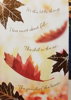 October Pictures Fall, Autumnal Quotes, Autumn Sayings, Autumn Blessings, Fall Quotes, Autumn Love, Autumn Magic, Autumn Scenes, Autumn Quotes