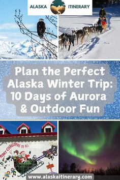 alaska winter trip 10 days of aurora and outdoor fun