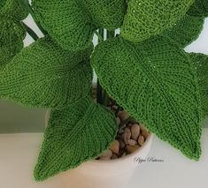 a potted plant with lots of green leaves on it's side and rocks in the bottom