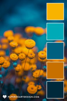 yellow flowers with blue and orange squares in the middle, on top of each other