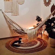 a black and white cat laying in a hammock with fringes hanging from the ceiling