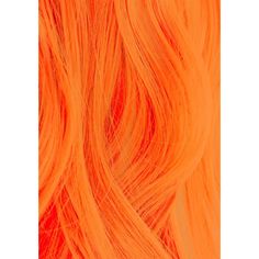 Hair Dye Orange, Peach Hair Dye, Peach Hair Colors, Tail Hairstyle, Lumpy Space, Sally Beauty Supply, Peach Hair