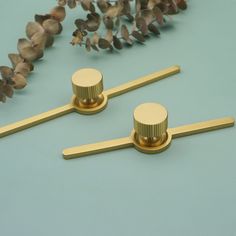 two brass knobs are sitting next to each other on a blue surface with flowers in the background