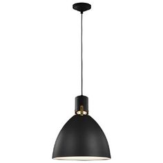 the black and gold pendant light is hanging from a metal rod with an open end