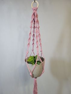 a potted plant hanging from a hook on a wall with a pink rope around it