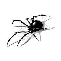 a black and white drawing of a spider