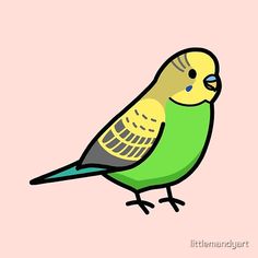 a green and yellow bird sitting on top of a pink background