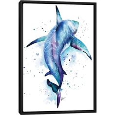 a painting of a shark in watercolor