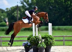 a person riding on the back of a brown horse over an obstacle in a field