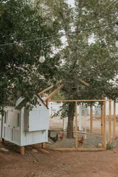 a chicken coop in the middle of a tree