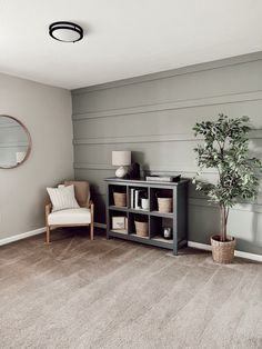 a living room with grey walls and carpeting, two chairs and a potted plant in the corner