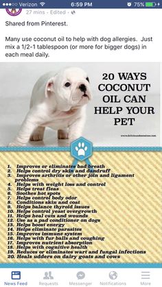 an image of a dog on facebook with the caption that reads, 20 ways coconut oil can help your pet