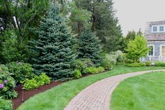 a brick path in front of a house surrounded by lush green grass and trees with purple flowers on the side